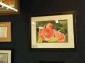 2009-01-01_00-32-49
