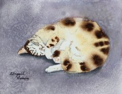 Snoozing Kitty