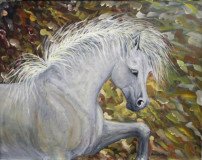 Heavens Warhorse