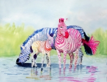 Zebras in Color
