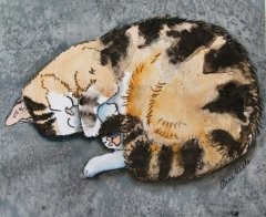 Sleeping Cat