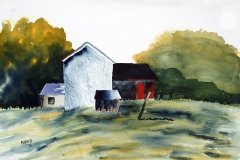 Mark Bailey
