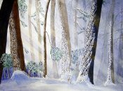 Light In The Woods