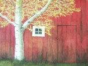 Splashed With Color