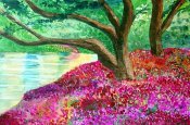 Spring Has Sprung