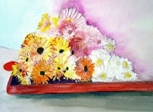 Daisies In Tray