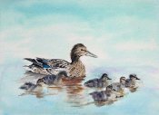 Ducks In A Row