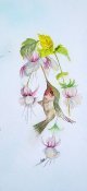 Hummingbird 1