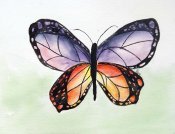 Nessas Monarch