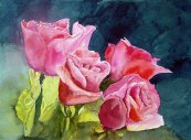 Pink Roses