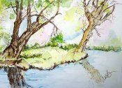 Pond And Trees