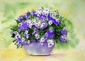 Purple Glory
