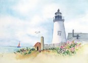 Seashore By The Seashore