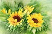 Sunflowers