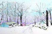 Winter  In The Valley One