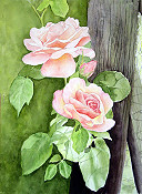 Auriel Roses