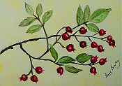 Berries On A Limb