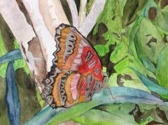 Colorful Butterfly