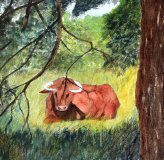 Ferdinand