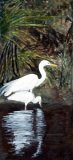 Heron Panel 2