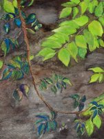 Leaves of Blue