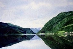 Norwegian Summer