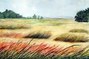 Grasses