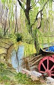 Weeping Willow