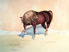 Glorious Stallion