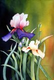 Laura's Flowers
