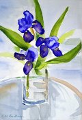 Blue Iris In Vase