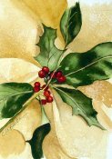Holly