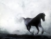 Misty Horse