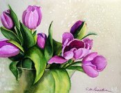 Pink Tulips