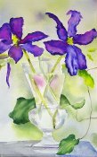 Purple Flowers