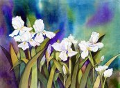 Twilight Iris