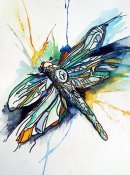 ce dragonfly