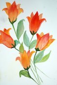 Orange Tulips
