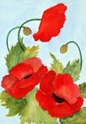 Red Poppies