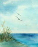 Beach Grass