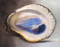 Beautiful Oyster