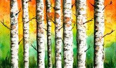 Birches