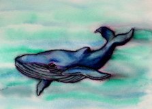 BLue Whale 2