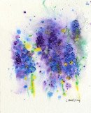 Floral Study 1