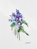Floral Study  2