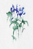 Floral Study 3