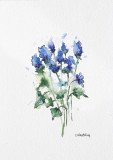 Floral Study 4