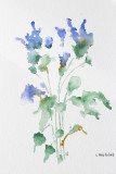 Floral Study 5