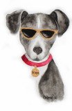Cool Bruno