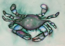Crabby
